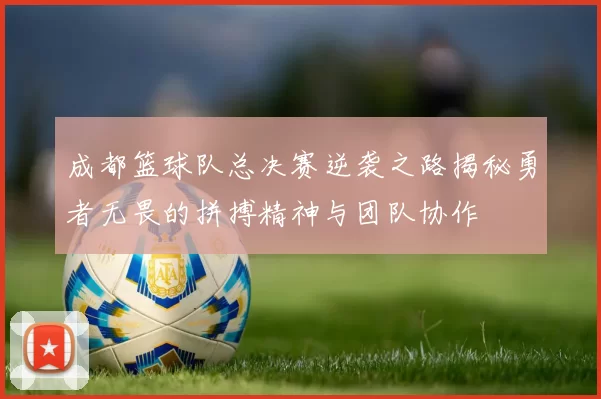 成都篮球队总决赛逆袭之路揭秘勇者无畏的拼搏精神与团队协作