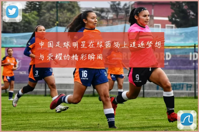 中国足球明星在绿茵场上追逐梦想与荣耀的精彩瞬间