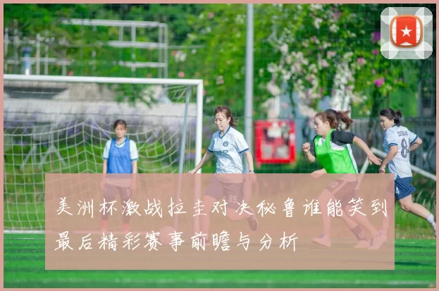 美洲杯激战拉圭对决秘鲁谁能笑到最后精彩赛事前瞻与分析