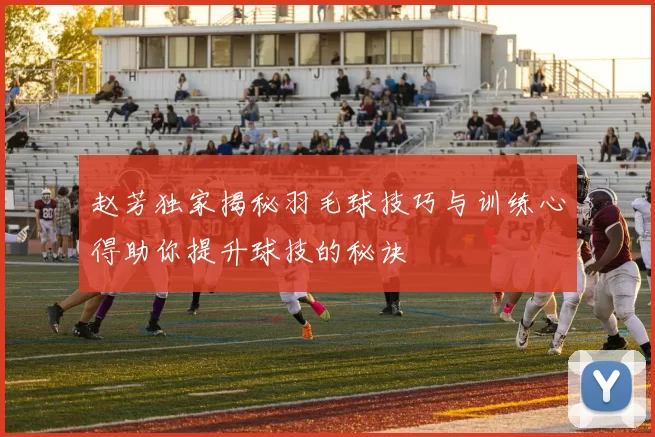赵芳独家揭秘羽毛球技巧与训练心得助你提升球技的秘诀