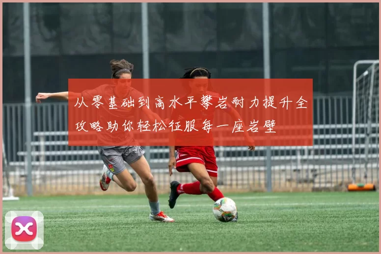从零基础到高水平攀岩耐力提升全攻略助你轻松征服每一座岩壁